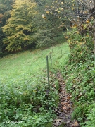 Vue du chemin depuis le bas